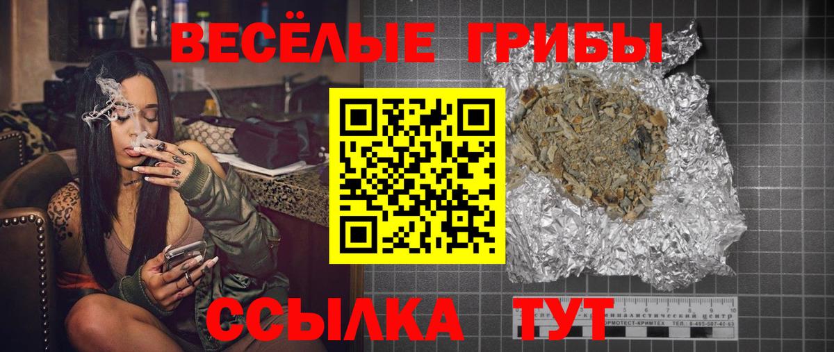 Псилоцибиновые грибы Cubensis Черногорск