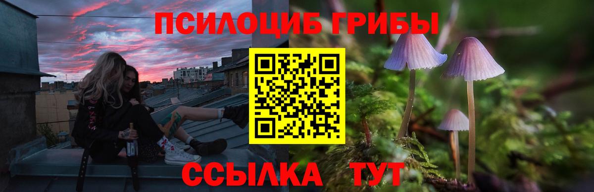 Черногорск  Псилоцибиновые грибы мухоморы  Вход с VPN  Псилоцибиновые грибы MAGIC MUSHROOMS 